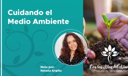Cuidando el Medio Ambiente