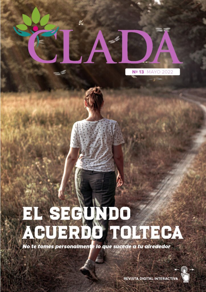 Revista Clada 13
