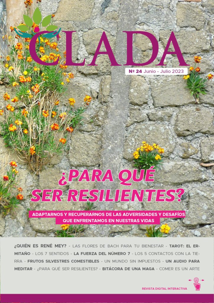 Tapa revista Clada 24