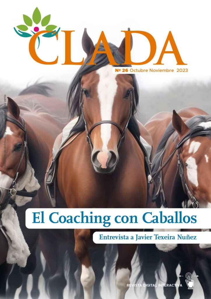 Revista Clada 26